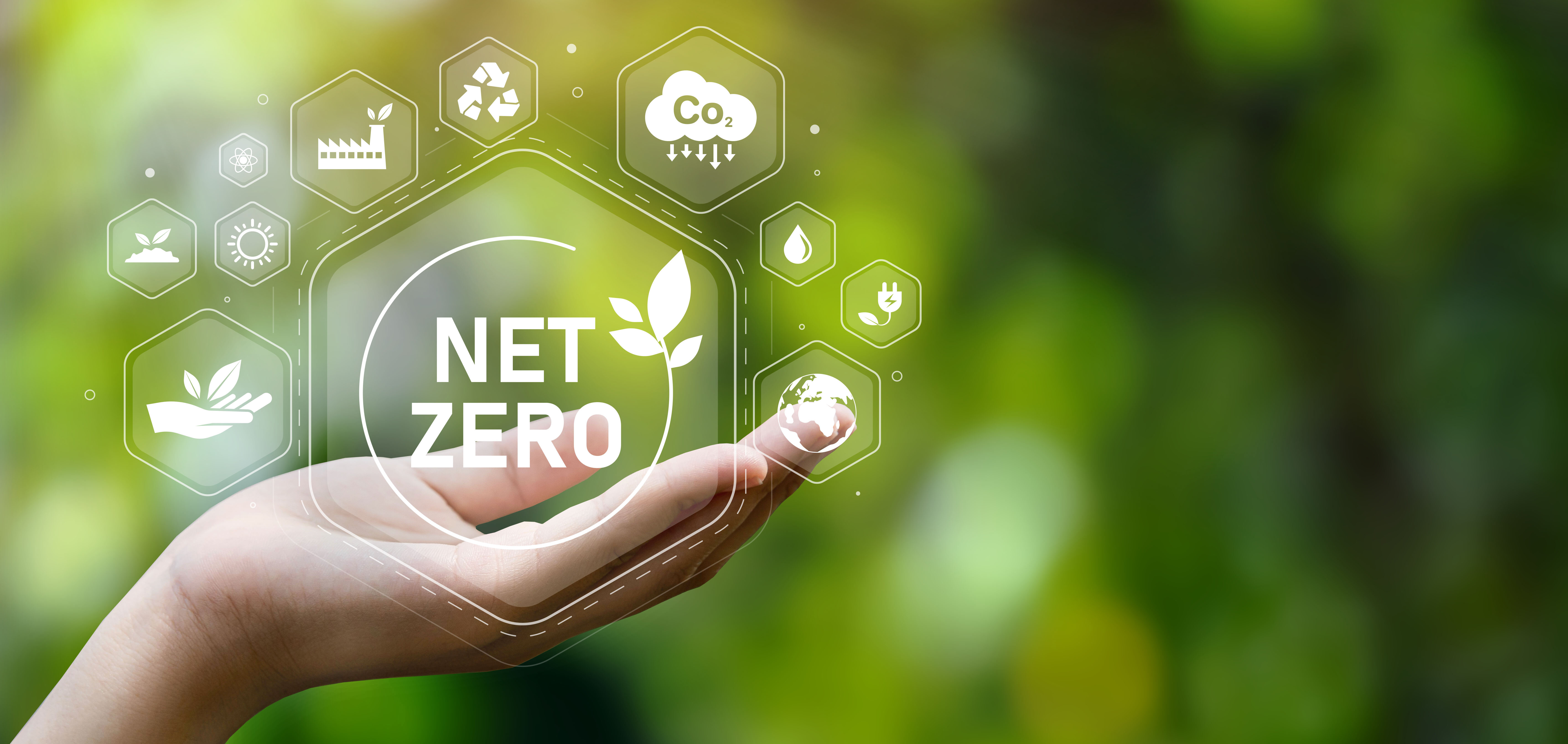 Net Zero